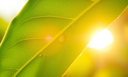 Spf do cery naczynkowej w pielęgnacji: co daje i jak dobrać do cery