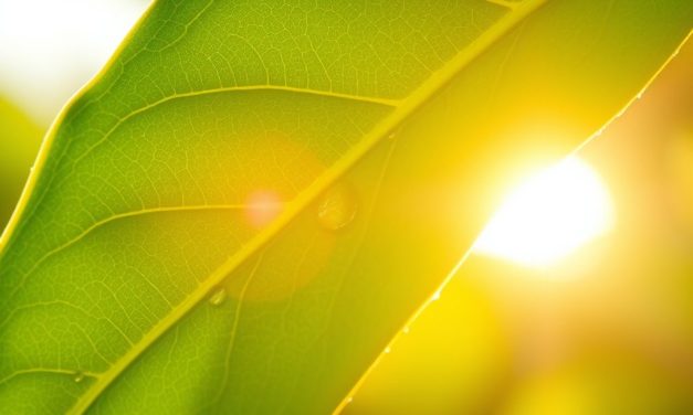 Spf do cery naczynkowej w pielęgnacji: co daje i jak dobrać do cery